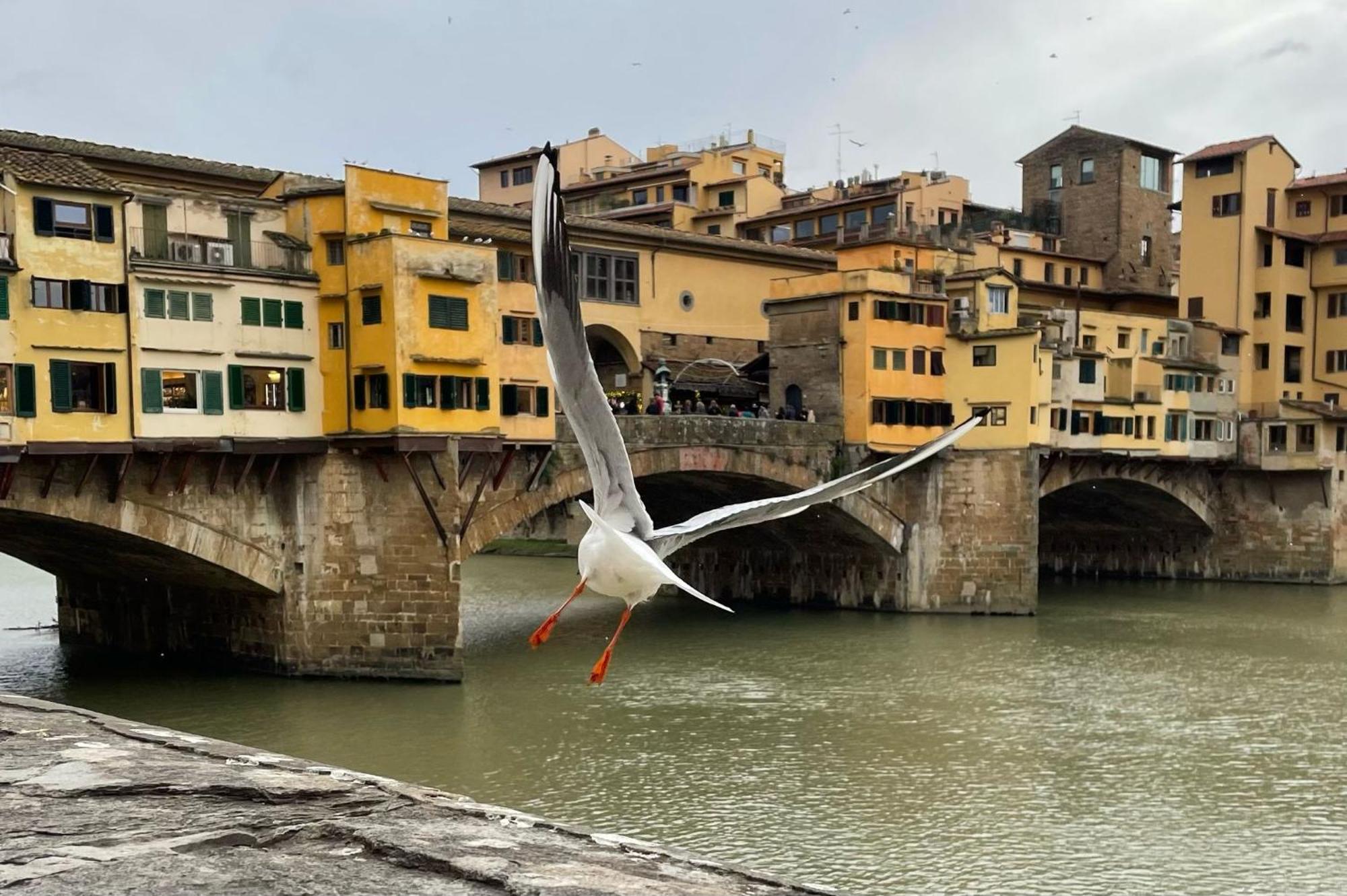 Vintage Apartments In The Heart Of Florence Extérieur photo